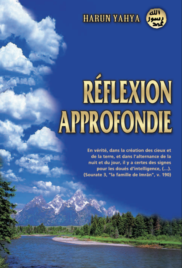 Réflexion Approfondie
