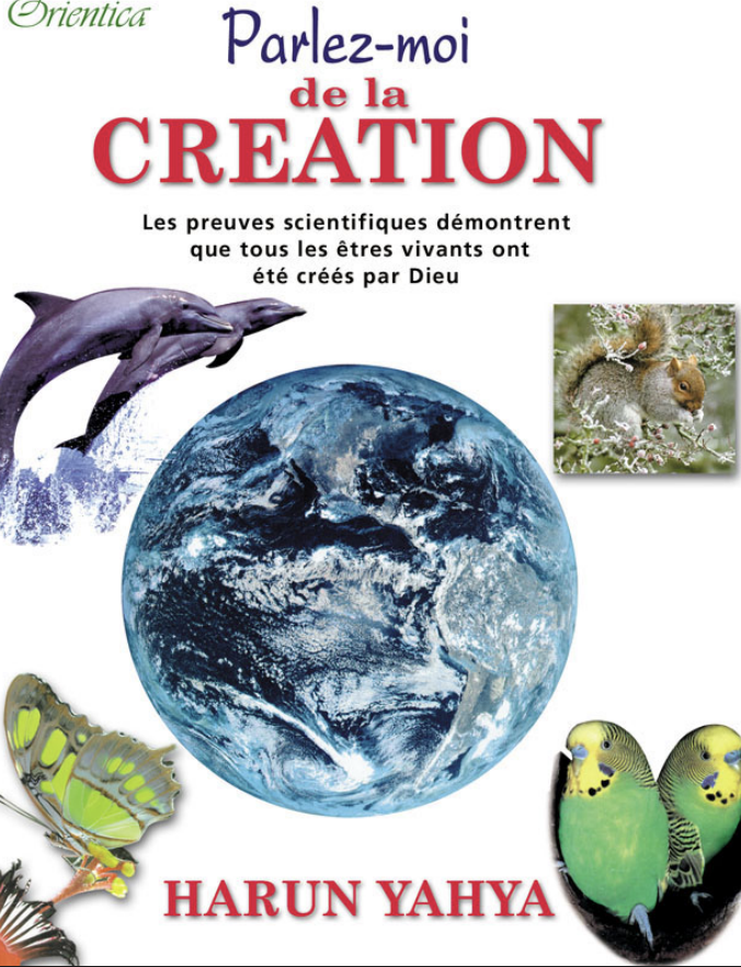 Parlez-moi De La Creation