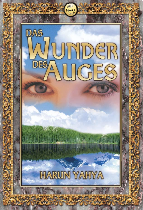 Das Wunder des Auges