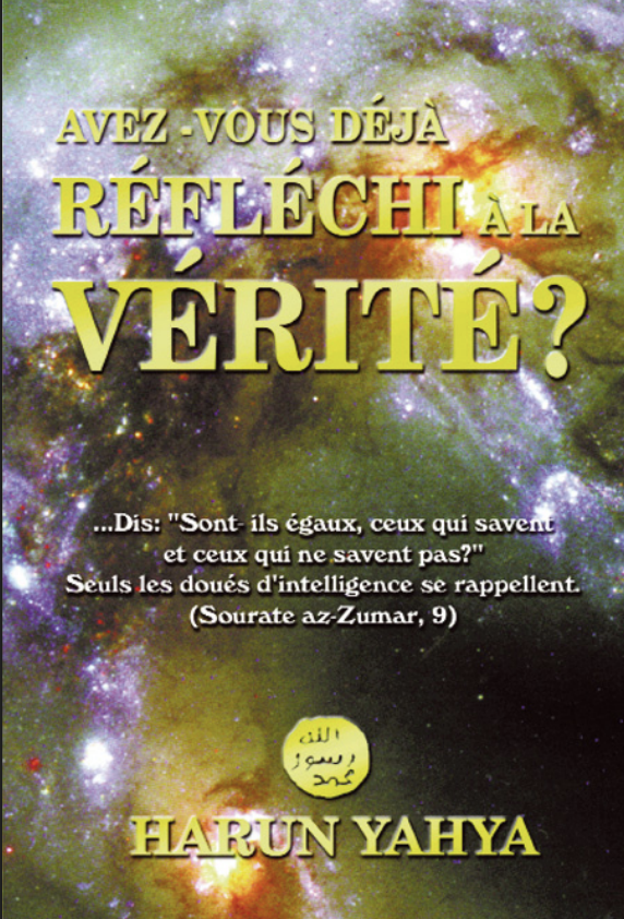 Avez-vous Déjà Réfléchi À La Vérité?