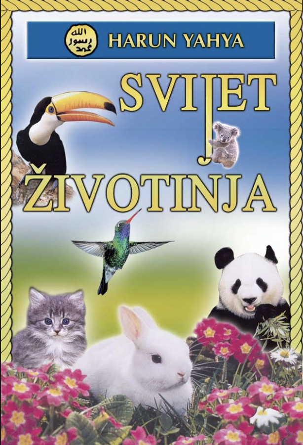 Svijet Životinja