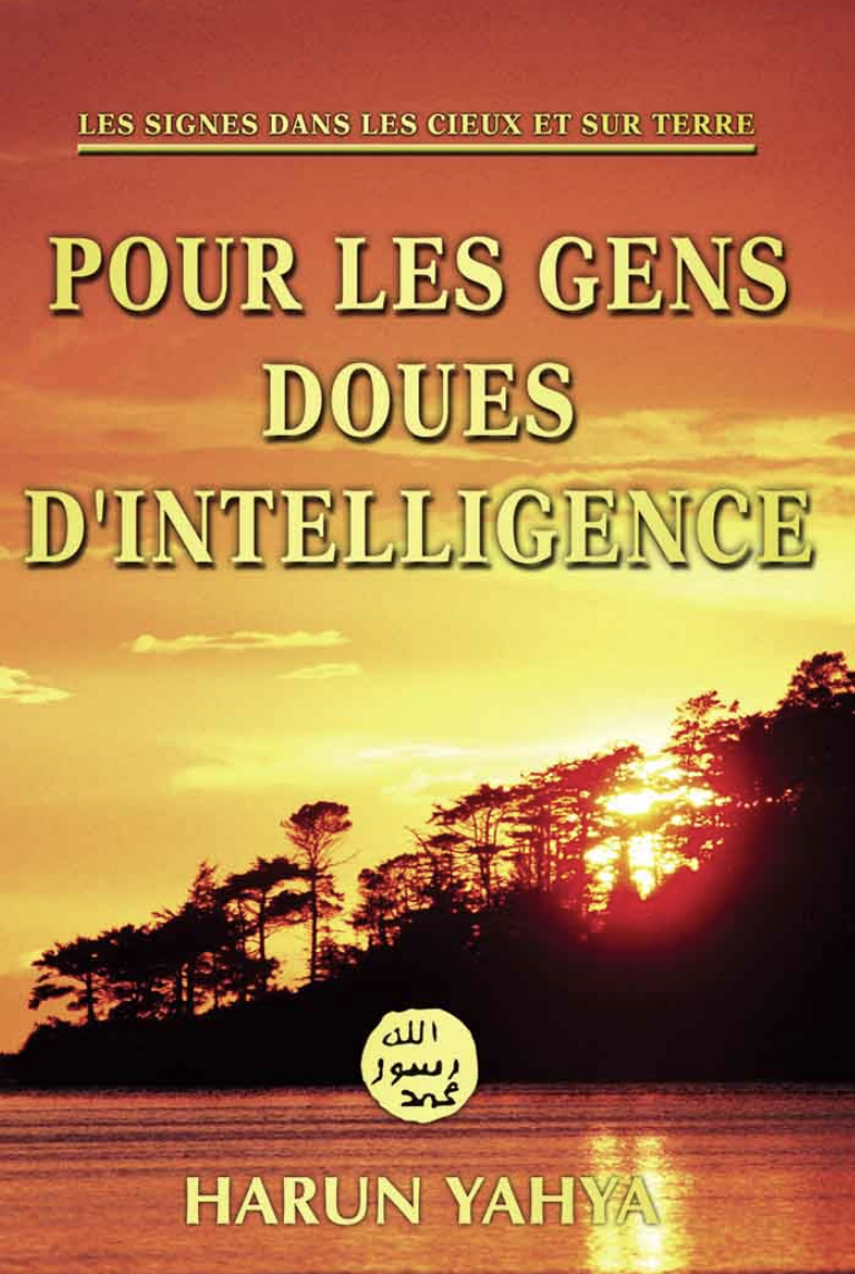 Pour Les Gens Doués D’intelligence