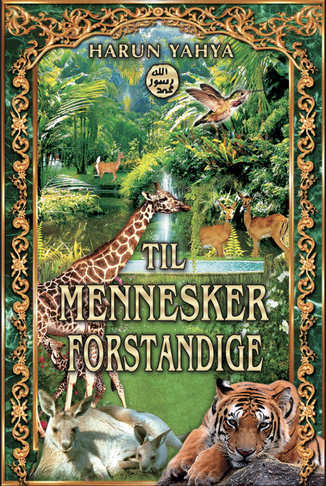 Til Forstandige Mennesker