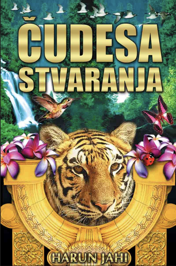 Čudesa Stvaranja