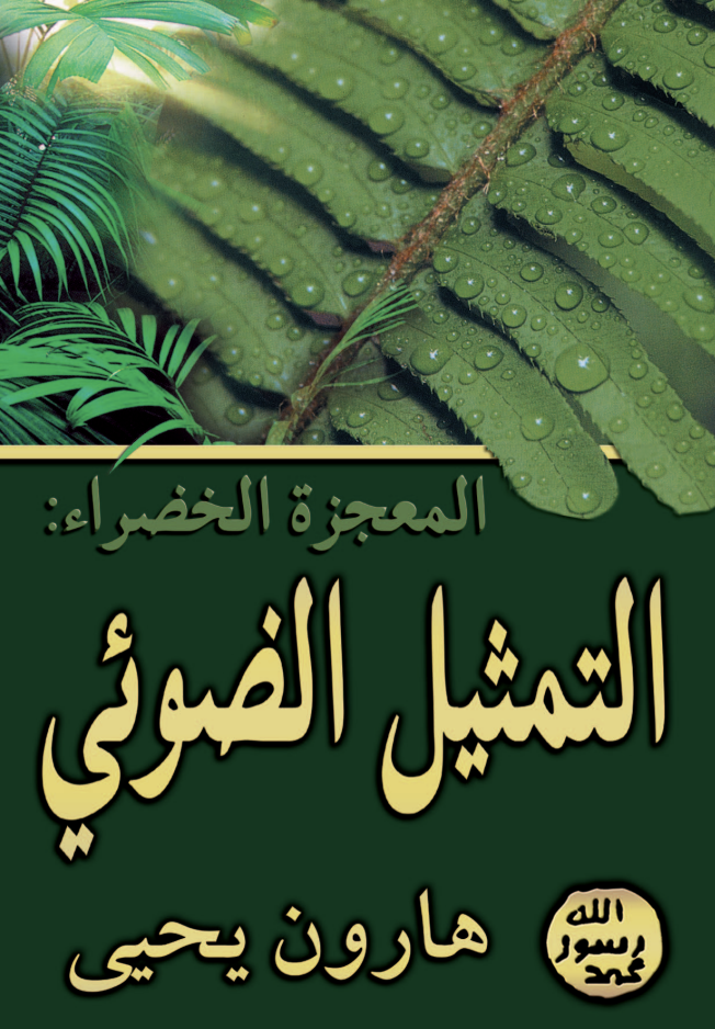 لمعجزة الخضراء : التمثيل الضوئي