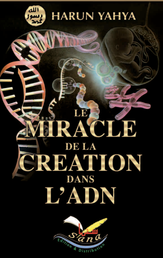 Le Miracle de la Creation Dans L’ADN