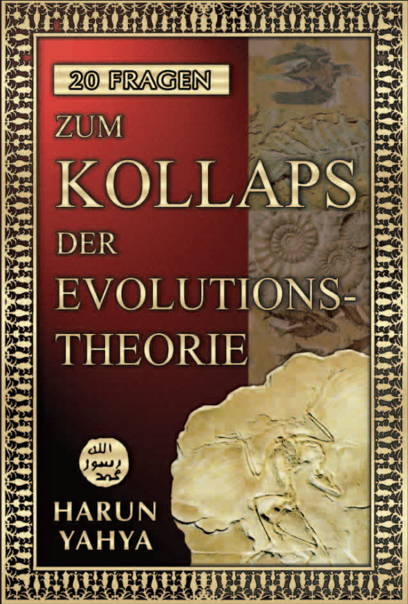 20 Fragen zum Kollaps der Evolutions Theorie
