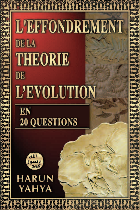 L’effondrement De La Théorie De L’évolution En 20 Questions