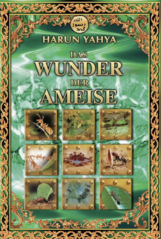Das Wunder der Ameise
