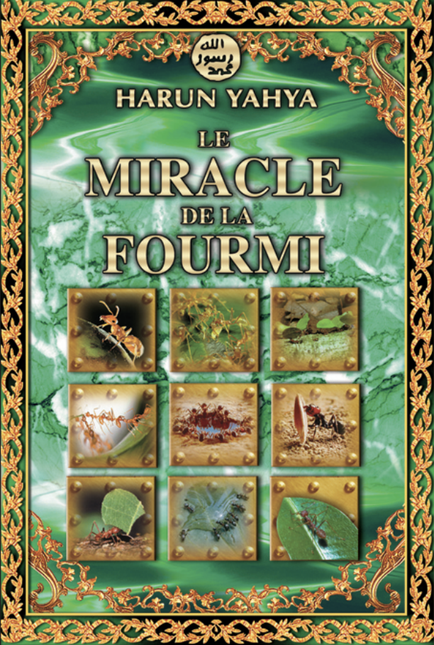 Le Miracle De La Fourmi