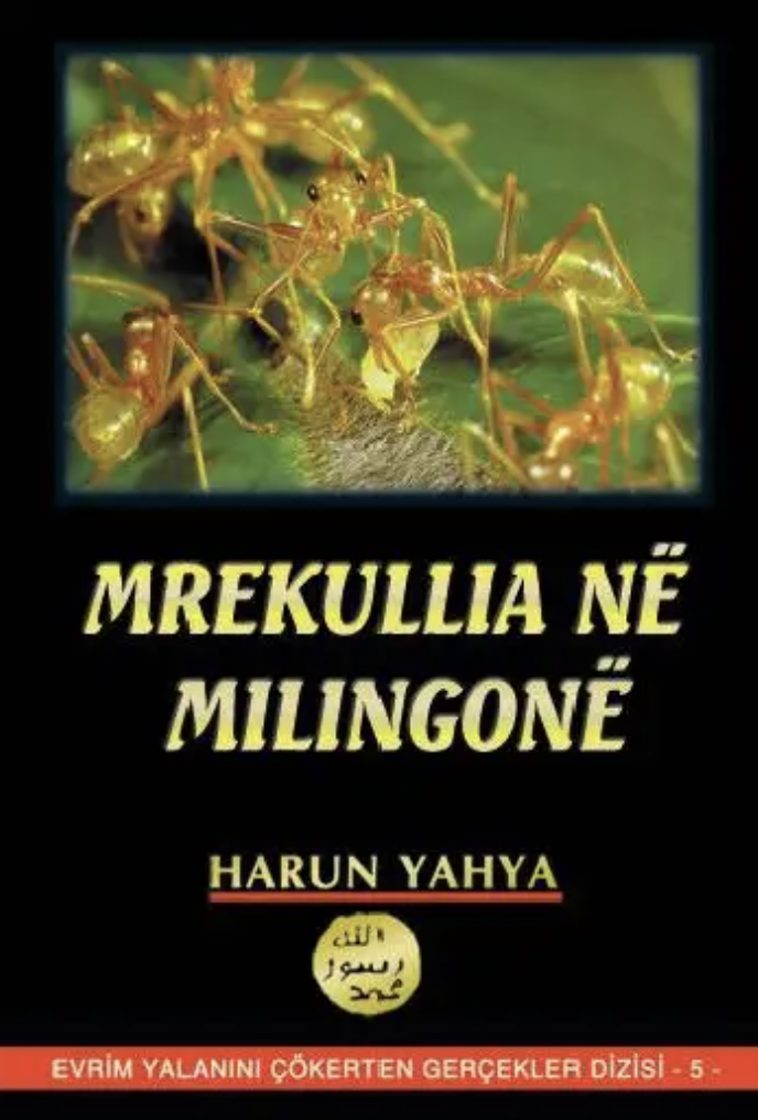 Mrekullia në Milingonë