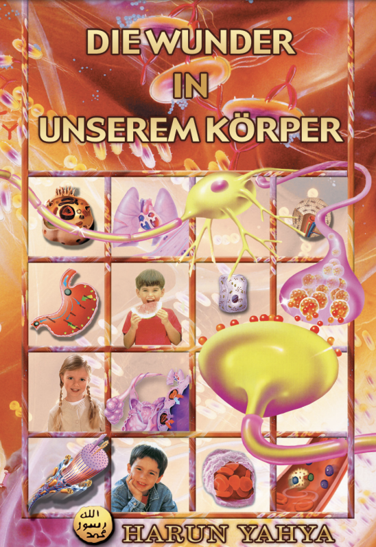 Die Wunder In Unserem Körper