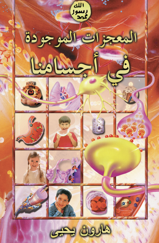 المعجزات الموجودة في أجسامنا