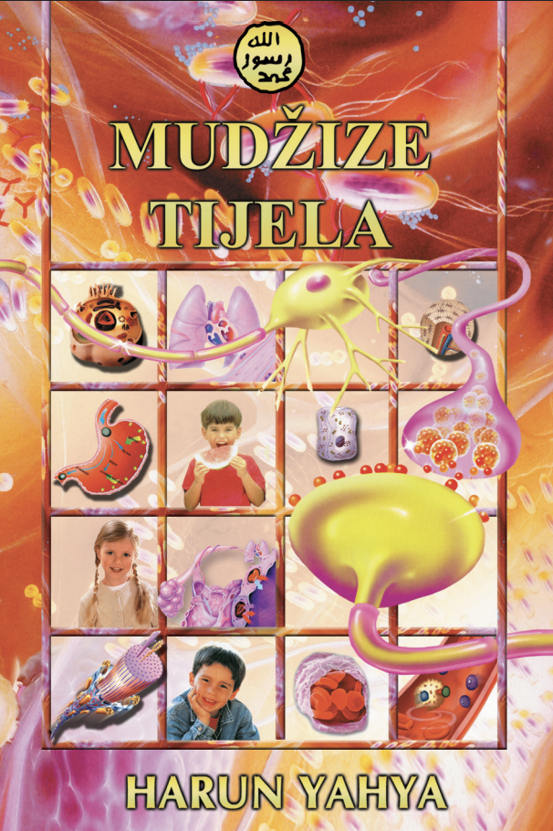 Mudžize Tijela