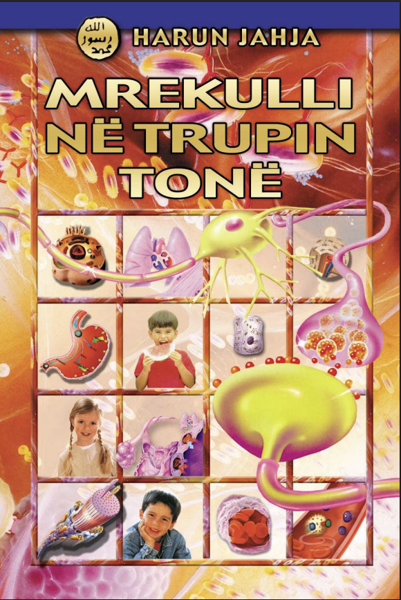 Mrekulli në Trupin Tonë