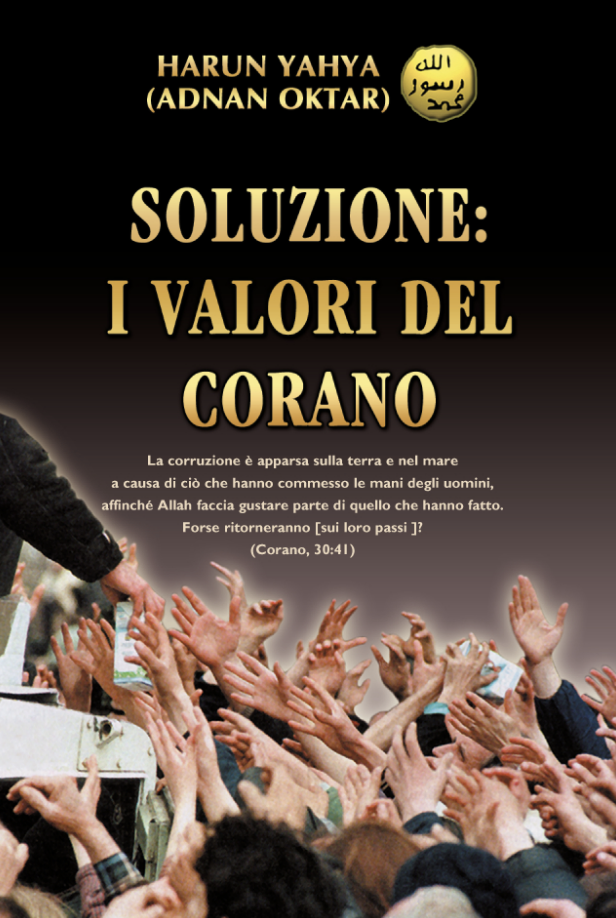 Soluzione: I Valori del Corano
