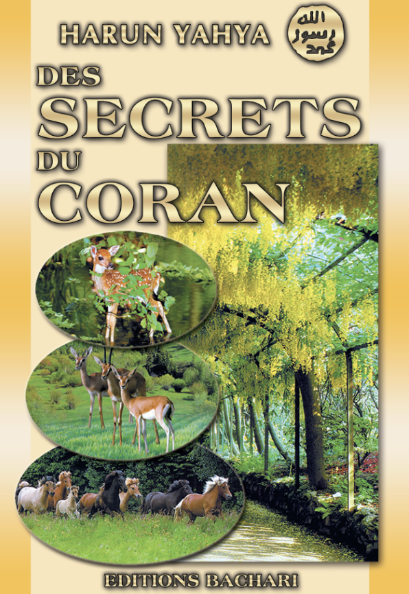 Des Secrets Du Coran