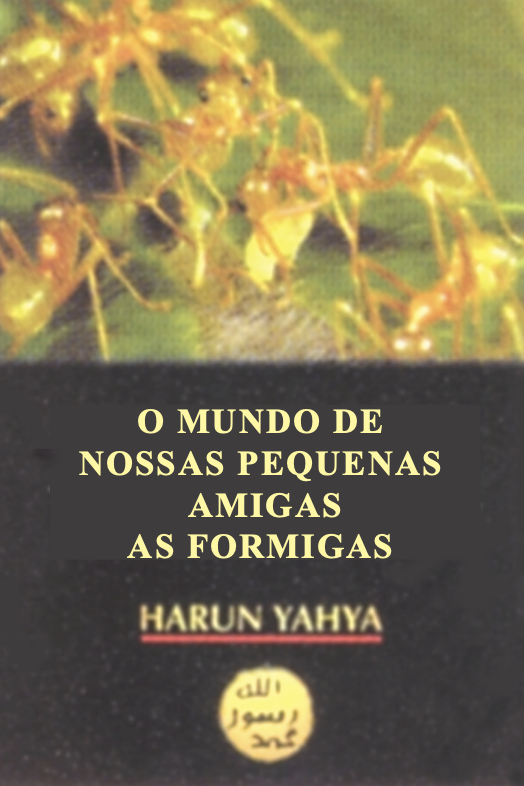 O Mundo De Nossas Pequenas Amigas As Formigas