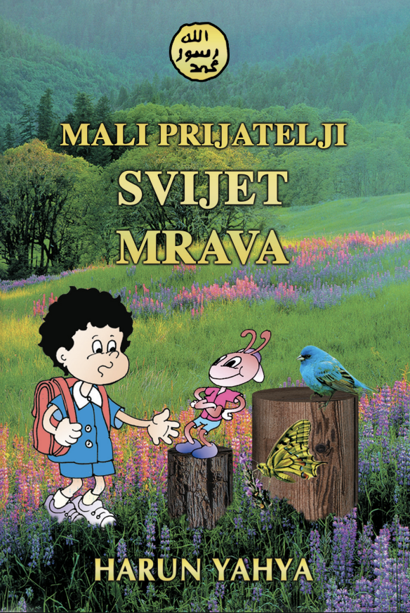 Mali Prijatelji Svijet Mrava