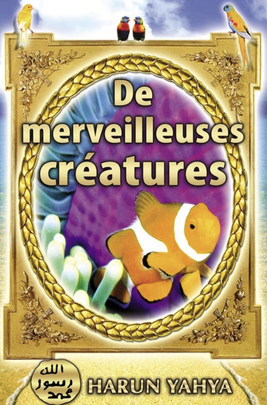 De Merveilleuses Creatures