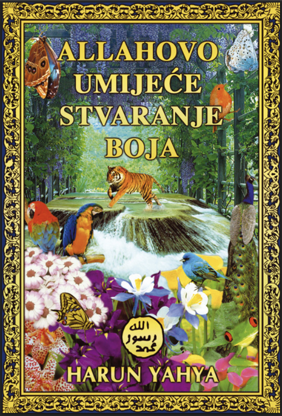 Allahovo Umijeće Stvaranja Boja