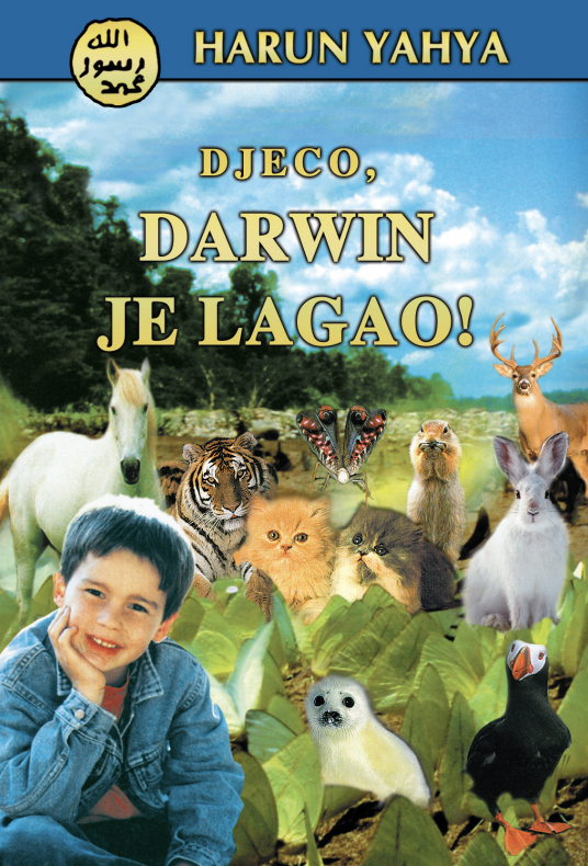 Djeco, Darwin Je Lagao!