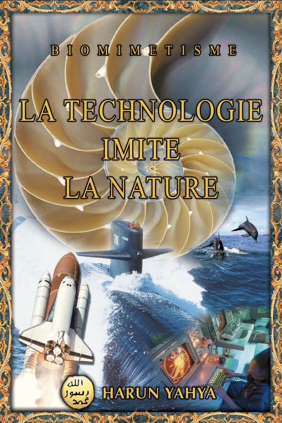 Biomimetisme: La Technologie Imite La Nature