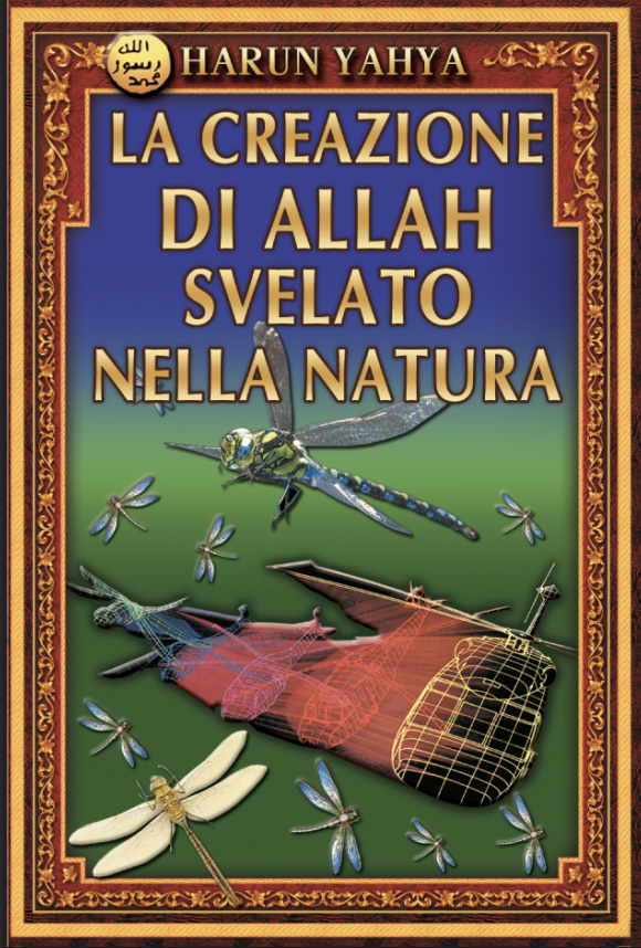 La Creazione Di Allah Svelato Nella Natura
