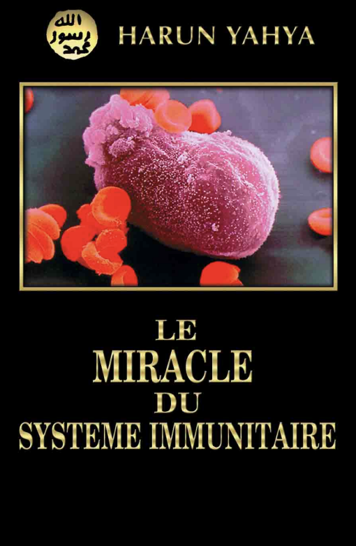 Le Miracle Du Systeme Immunitaire