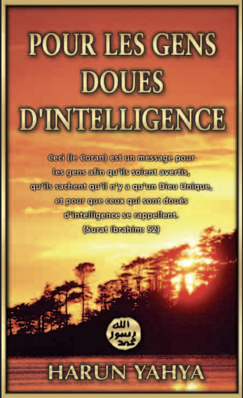Pour Les Gens Doues D'intelligence 2 (livre De Poche)