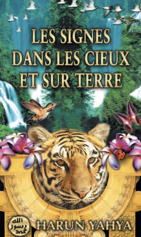 Les Signes Dans Les Cieux Et Sur Terre (livre De
