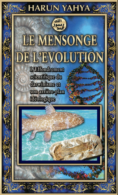 Le Mensonge De L’evolution (livre De Poche)