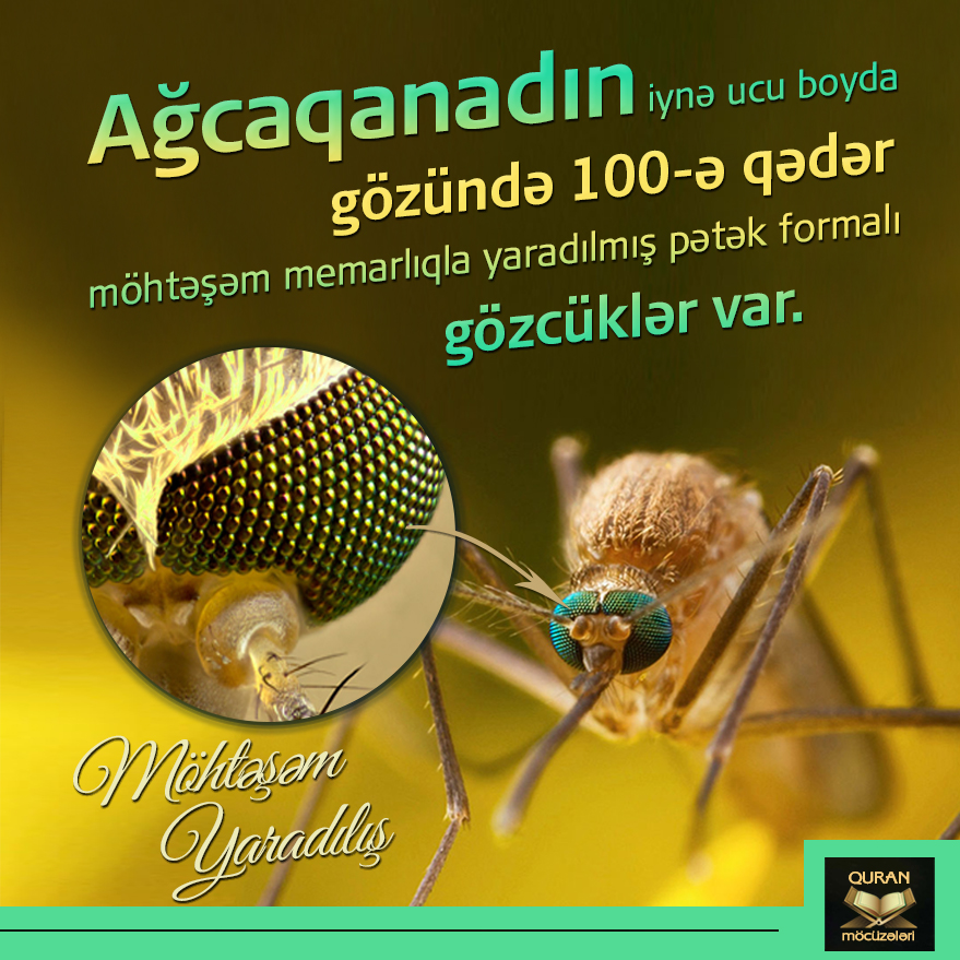 İman Həqiqətləri