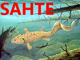 Doğa Tarihi