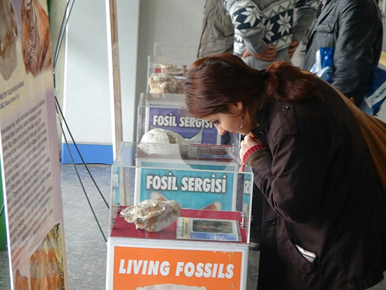 Aşti Terminali-Ankara/10-11 Kasım 2012