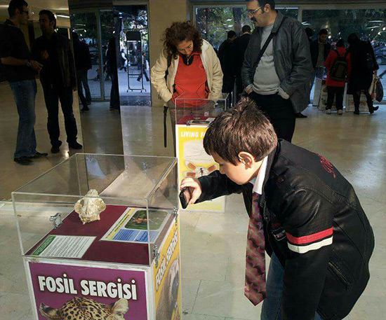 Güvenpark-Ankara/14-21 Kasım 2012