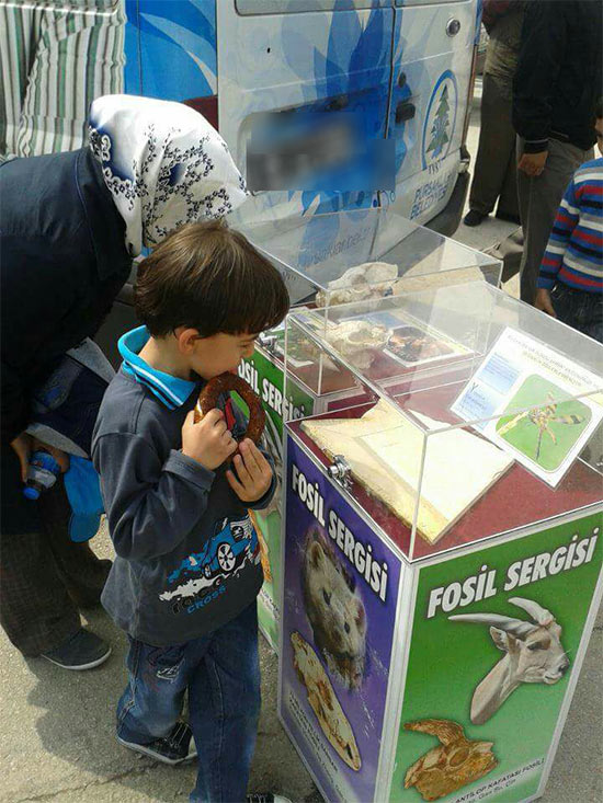 Pursaklar-Ankara/12 Mayıs 2013