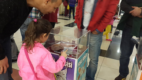 Arasta Park AVM-İzmit/22 Mart 2014