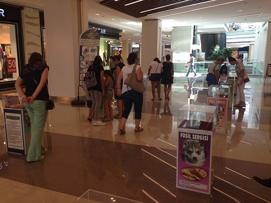 Brandium AVM-İstanbul/4-10 Ağustos 2014
