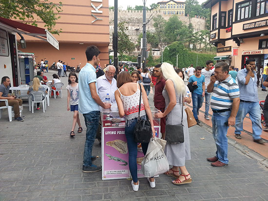 Cumhuriyet Caddesi-Bursa/22 Ağustos 2015