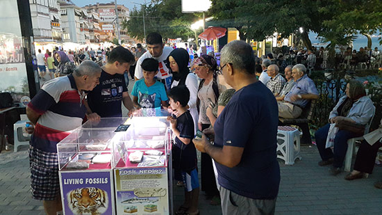 Gemlik Kumla Sahili-Bursa/16 Ağustos 2015