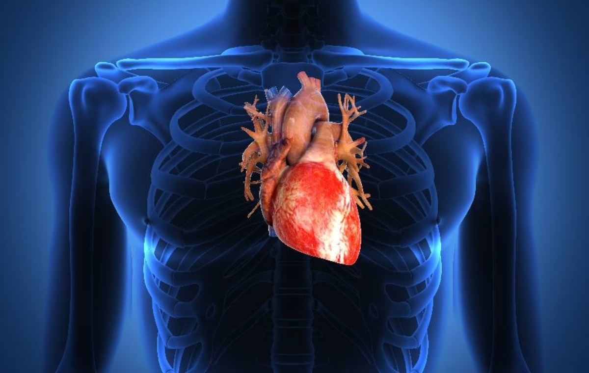 Yaratılış Delilleri