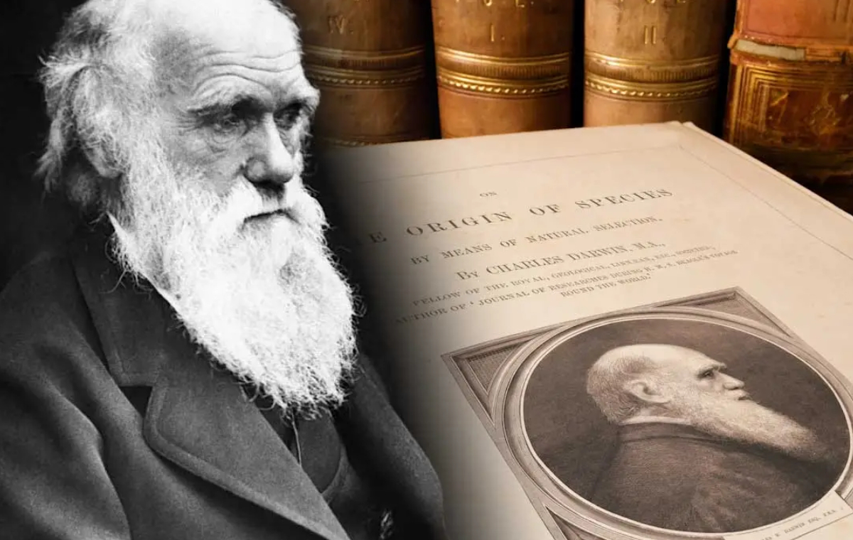 Evrimcilerin İtirafları - Video