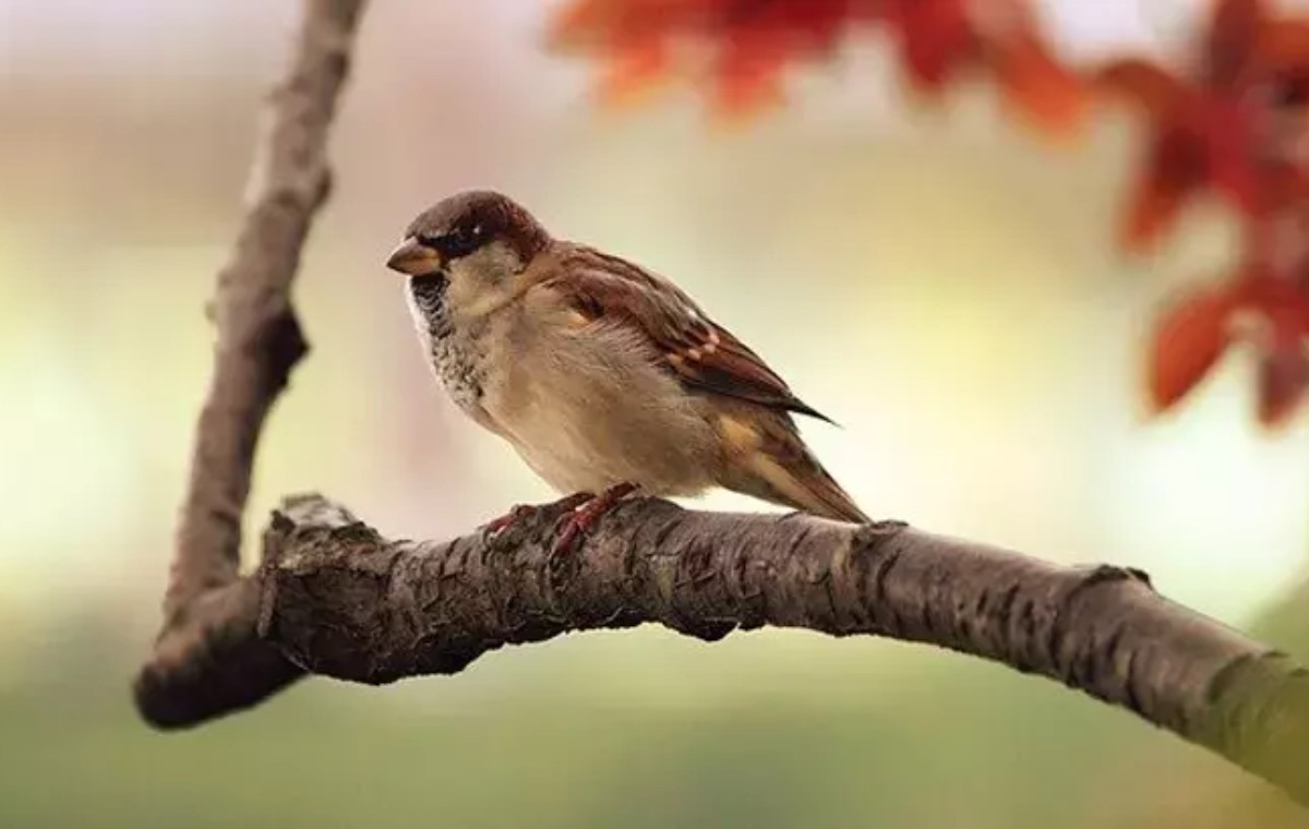 Kısa filmler - Mutlaka izleyin