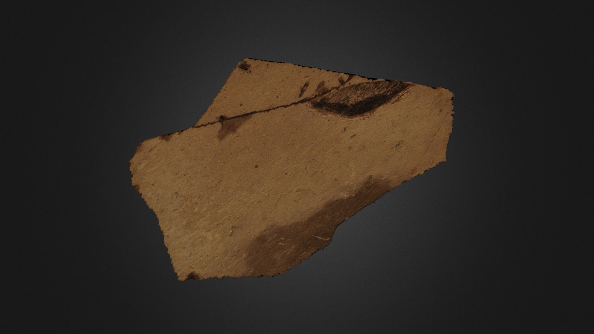 HOJA DE NOGAL