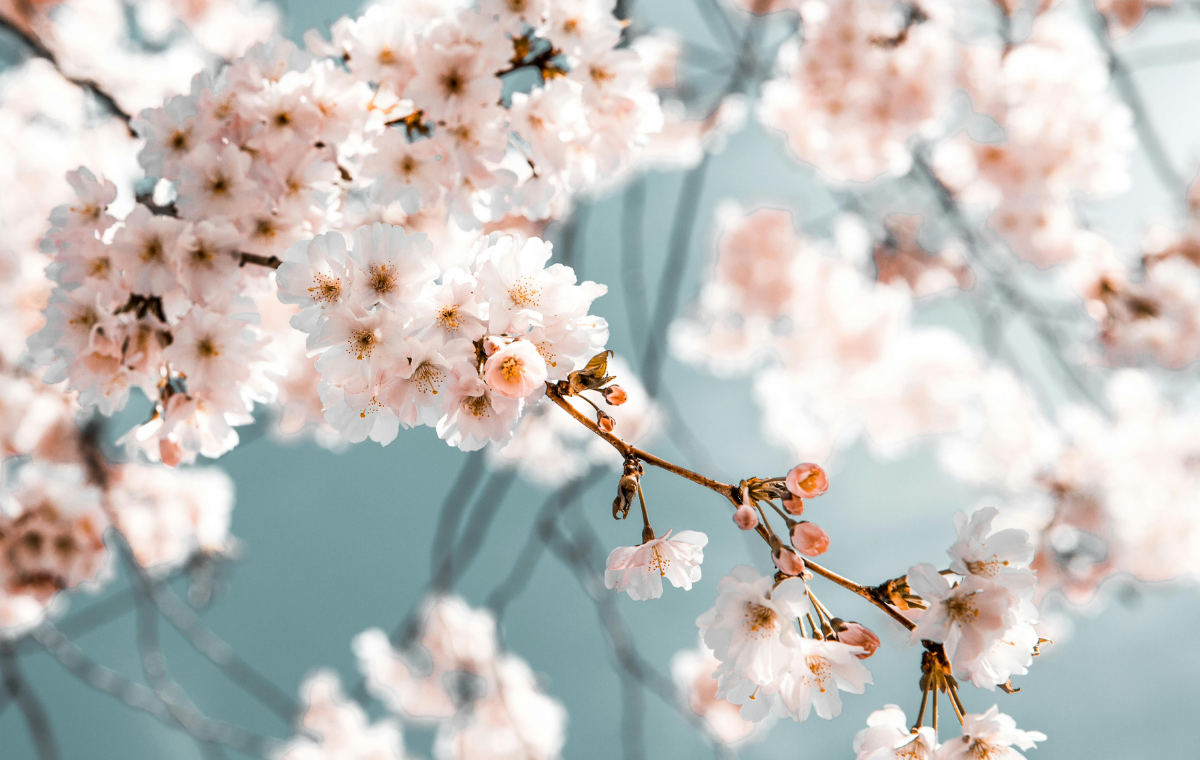 Allah’ın Kendisini Bağışlaması İsteyenler Bağışlayıcı Olmayı Bilmelidirler