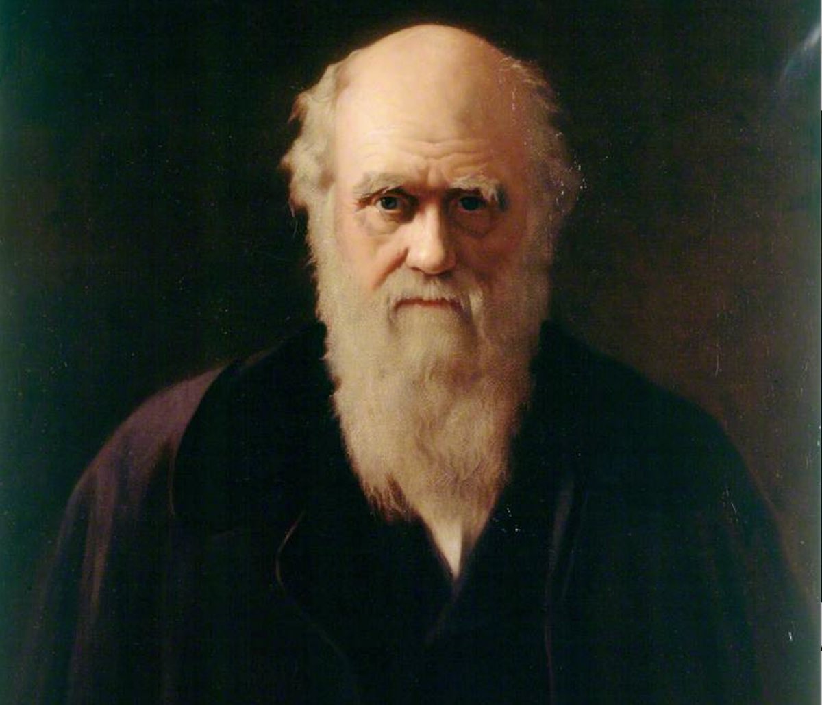 Algı ve Telkinle Ayakta Tutulan Hurafe: Darwinizm