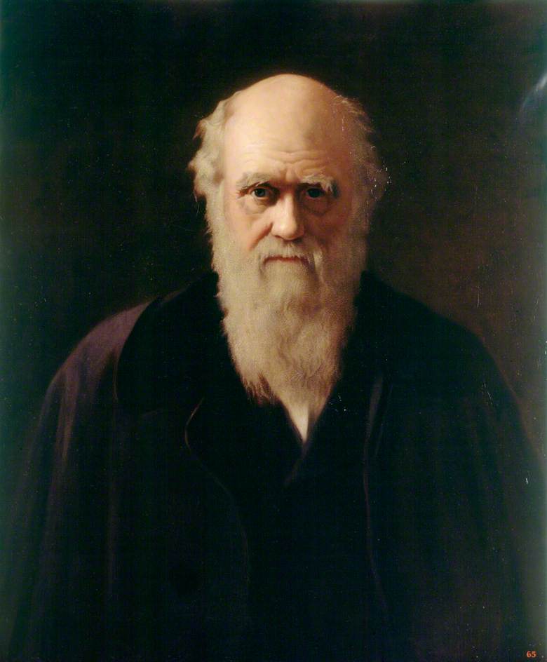 The Superstition Sustained by Perception and Suggestion: Darwinism