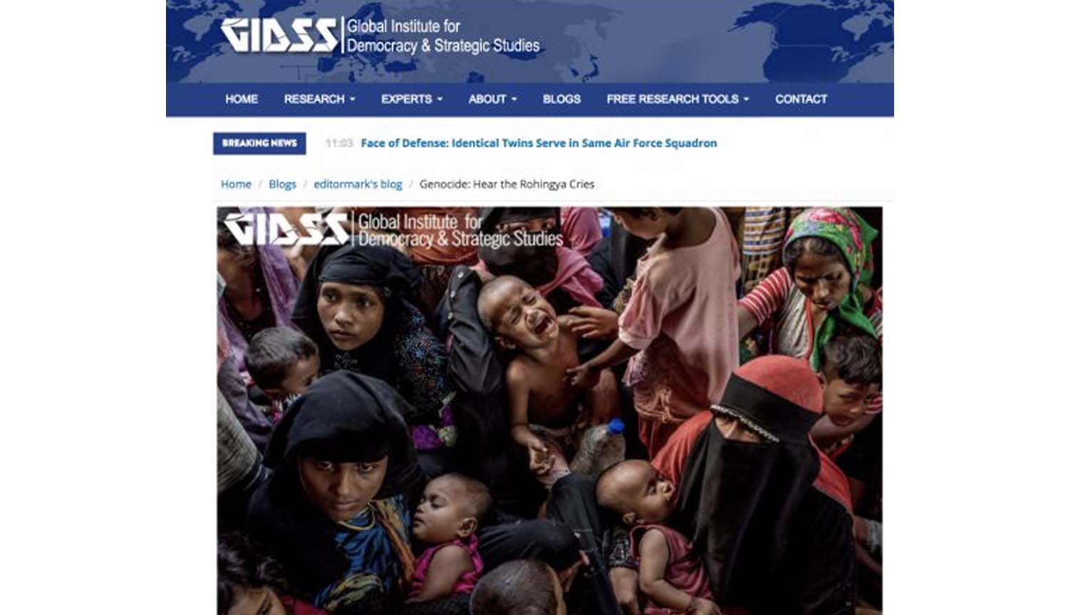 Dünya Rohingyanın çığlıklarını duymalı