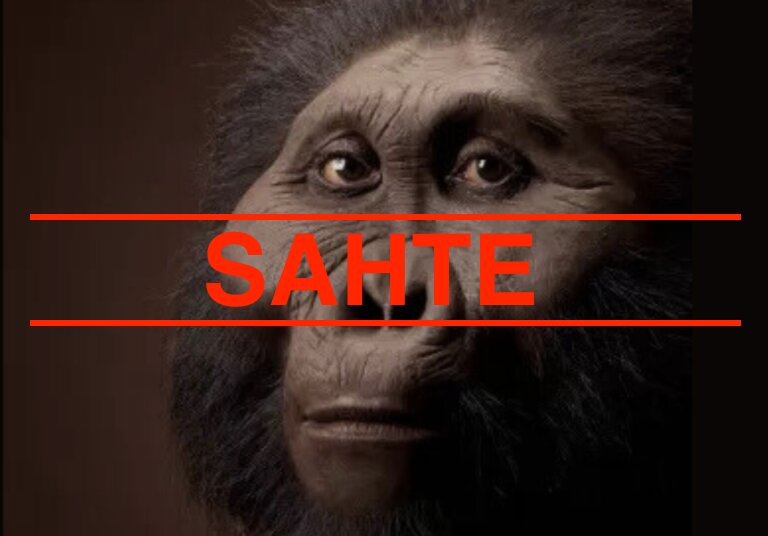 HAYALİ BİR ARA TÜR BÖYLE ÜRETİLDİ:  PARANTHROPUS BOİSEİ ve ELİN SÖZDE EVRİMİ MASALI
